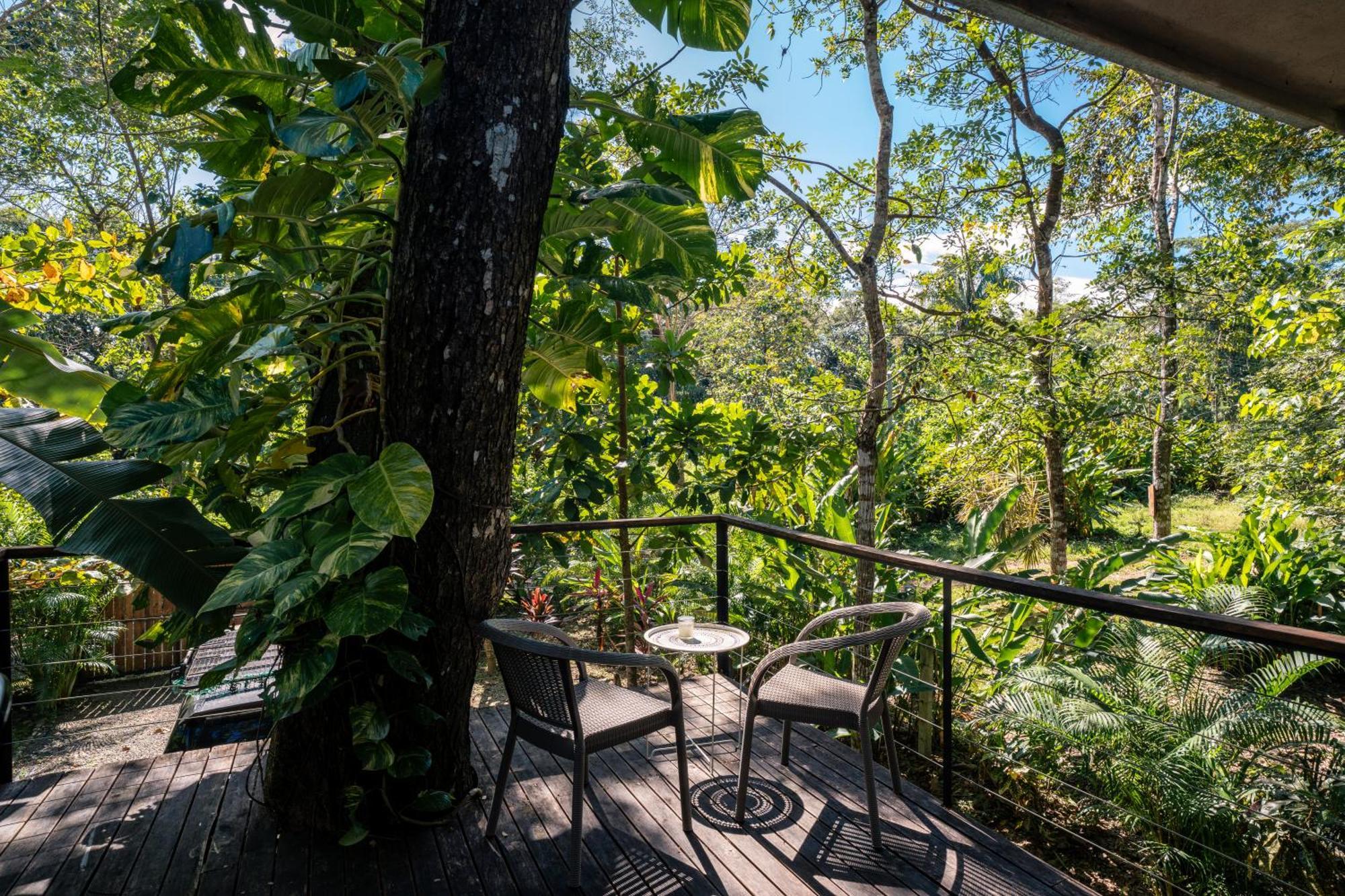 Feeling Trees Jungle Lodge Cabuya  Esterno foto