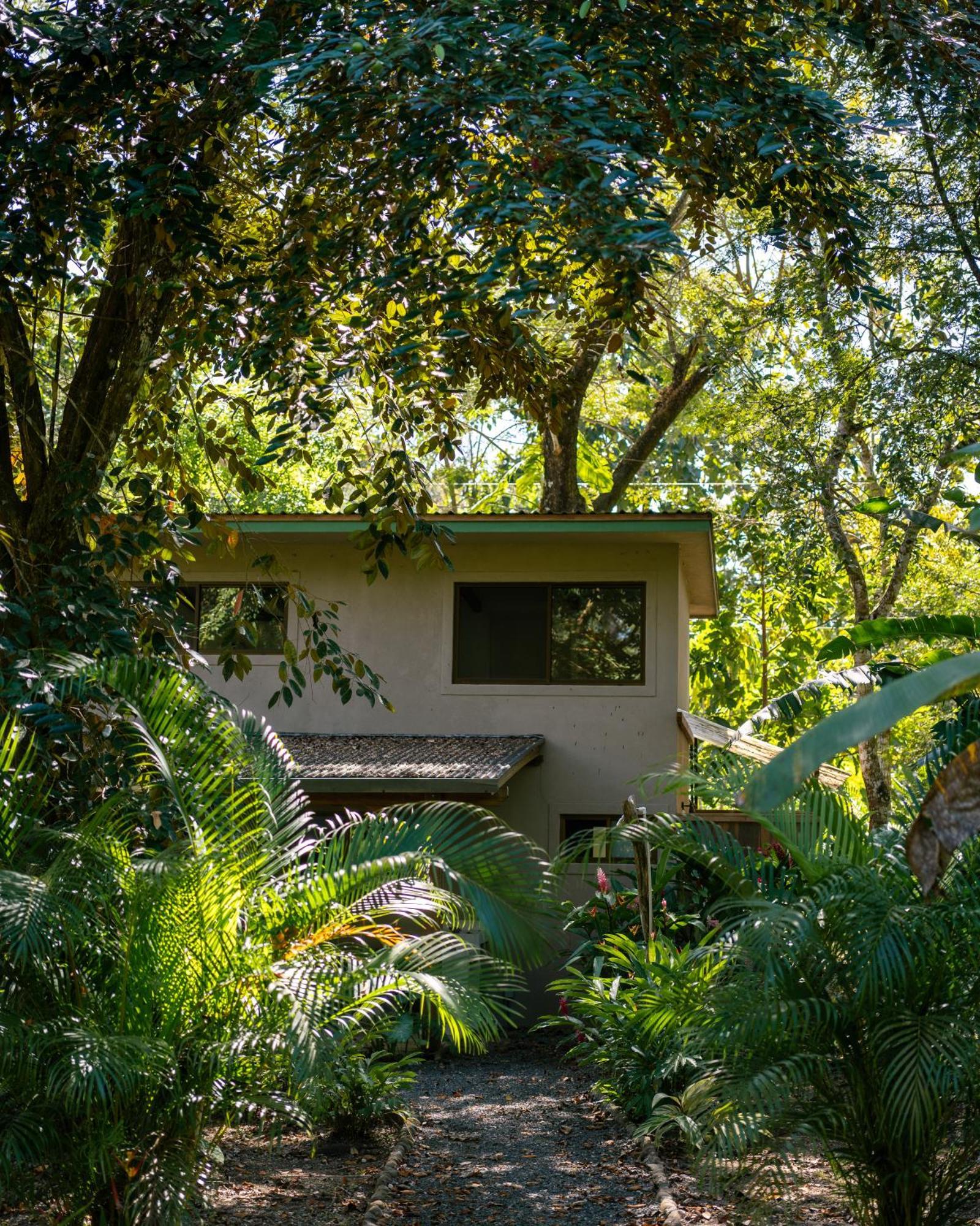 Feeling Trees Jungle Lodge Cabuya  Esterno foto