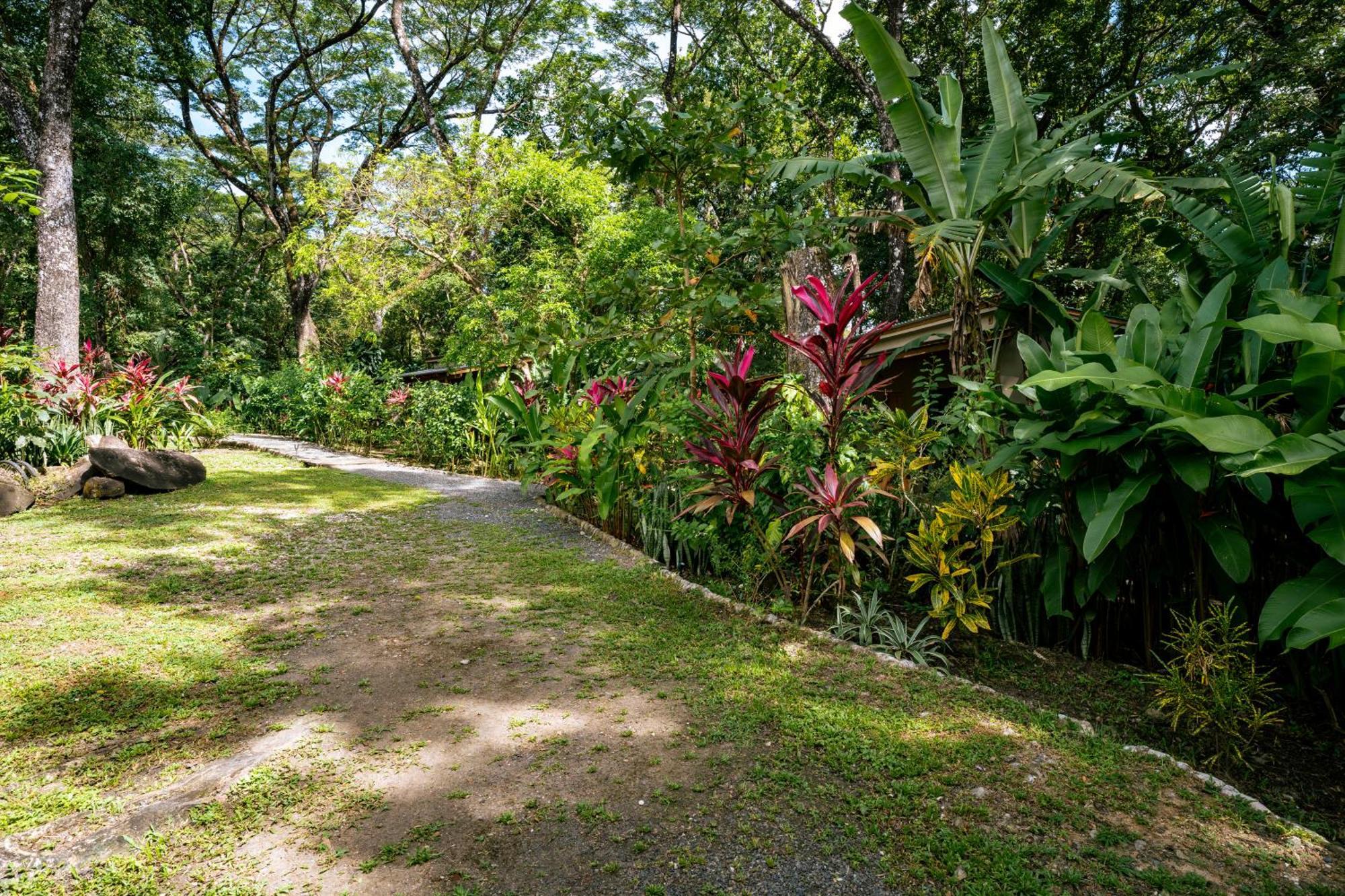 Feeling Trees Jungle Lodge Cabuya  Esterno foto