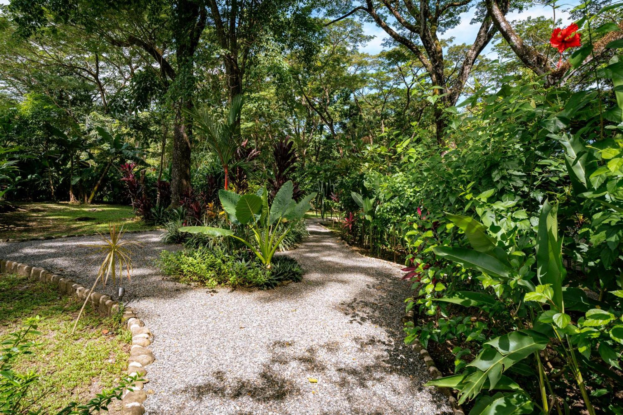 Feeling Trees Jungle Lodge Cabuya  Esterno foto