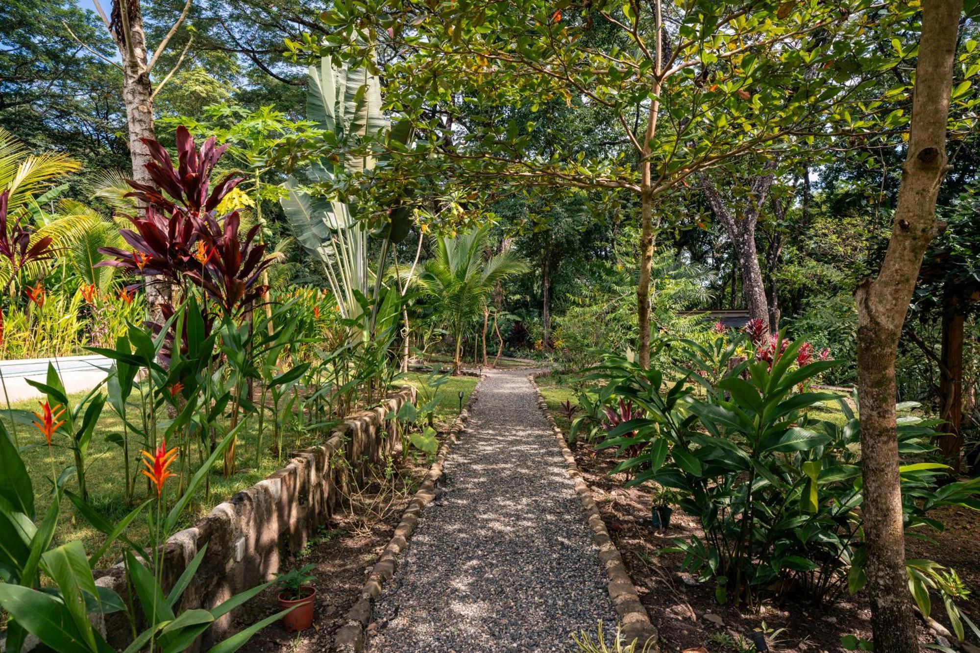 Feeling Trees Jungle Lodge Cabuya  Esterno foto