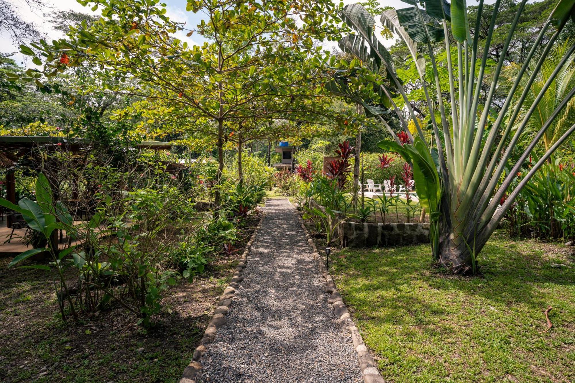 Feeling Trees Jungle Lodge Cabuya  Esterno foto