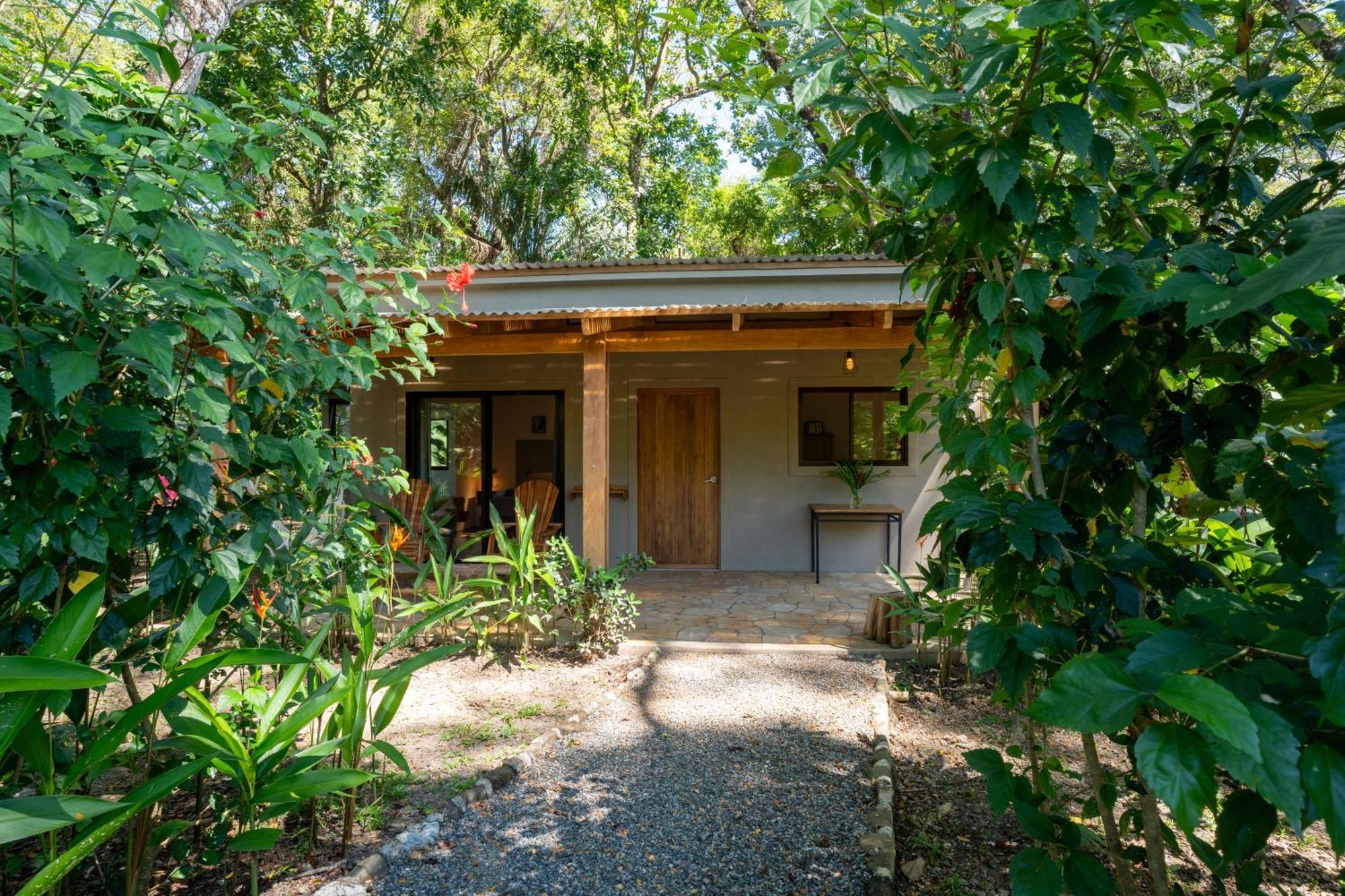 Feeling Trees Jungle Lodge Cabuya  Esterno foto