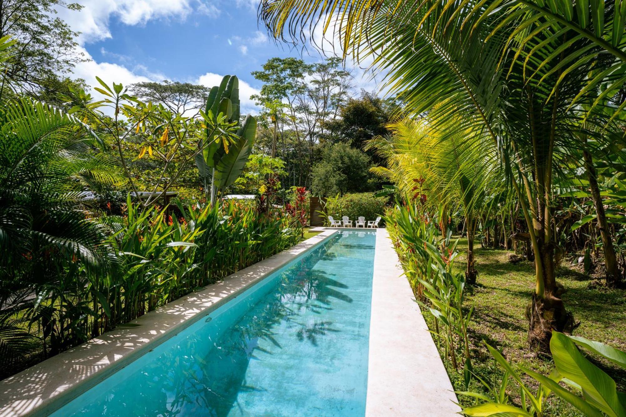 Feeling Trees Jungle Lodge Cabuya  Esterno foto
