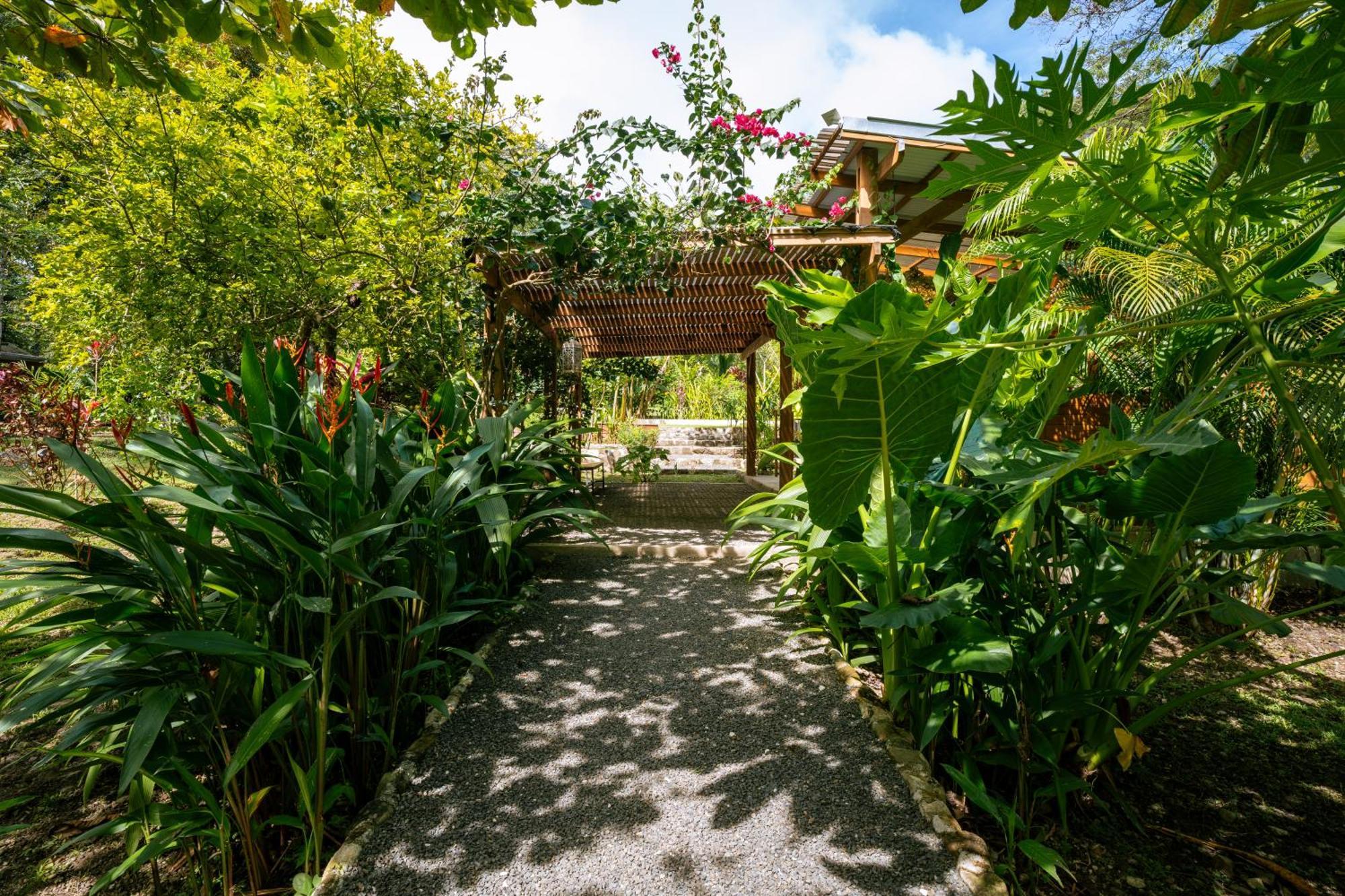 Feeling Trees Jungle Lodge Cabuya  Esterno foto