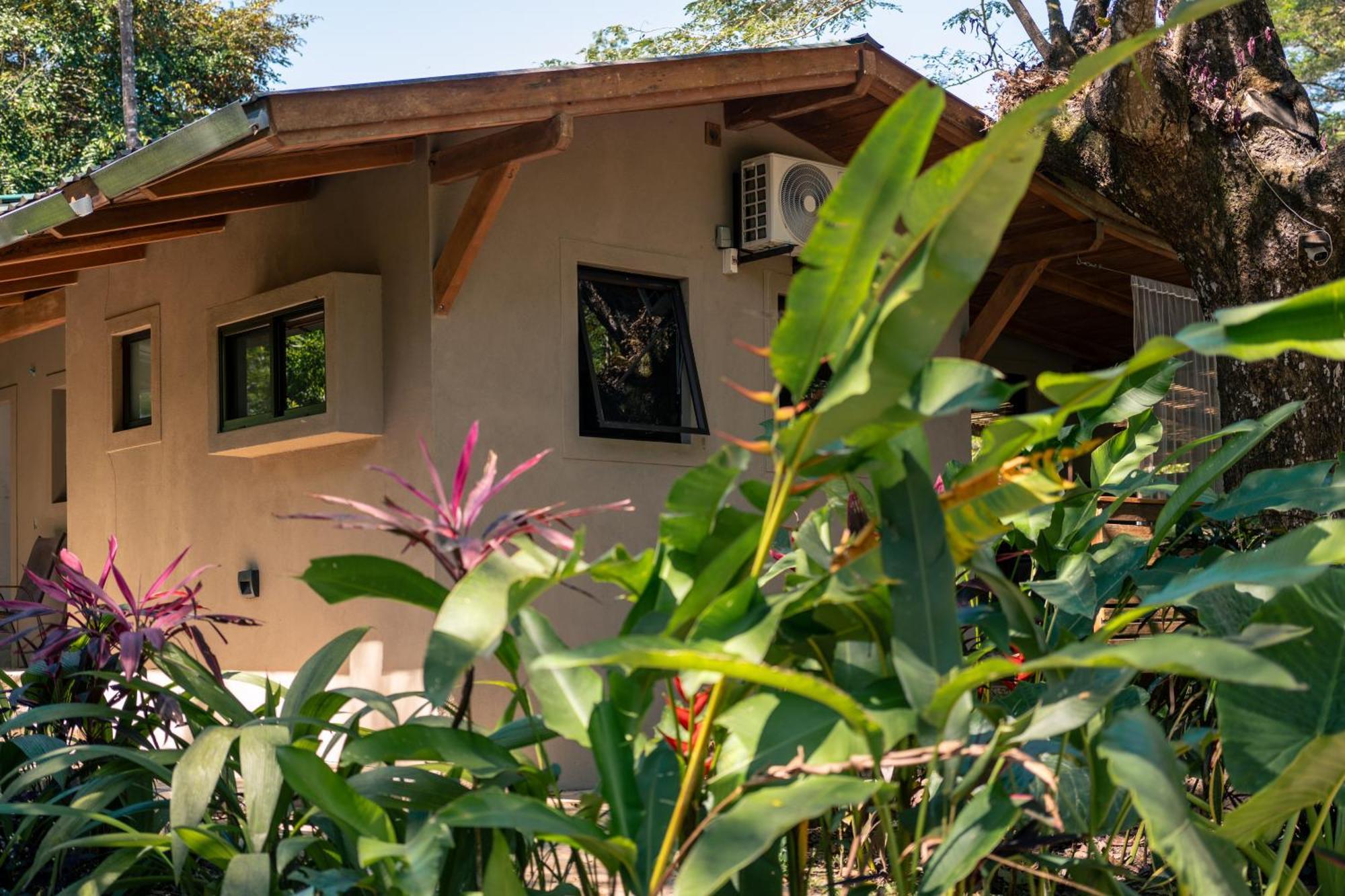 Feeling Trees Jungle Lodge Cabuya  Esterno foto