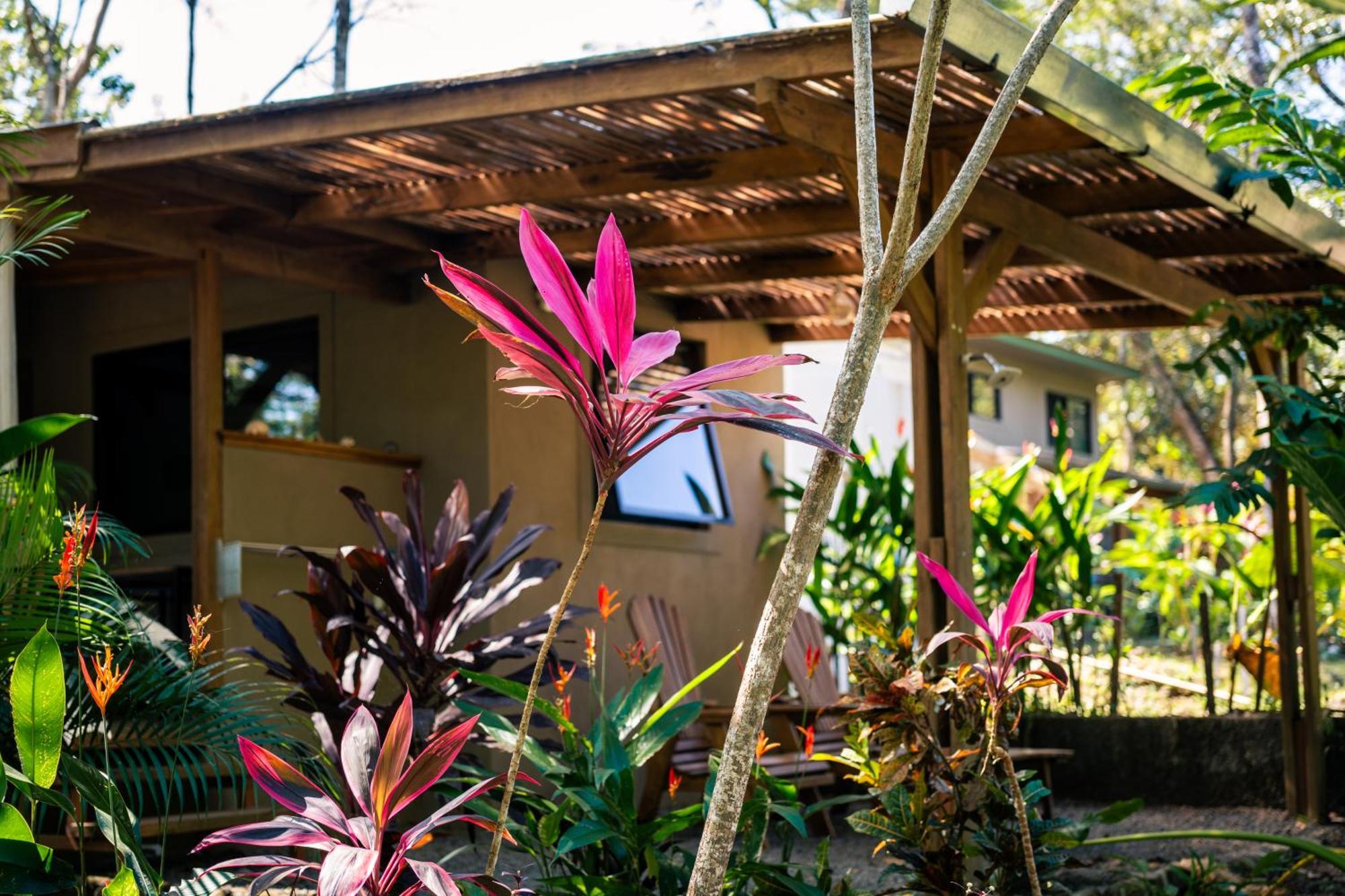 Feeling Trees Jungle Lodge Cabuya  Esterno foto