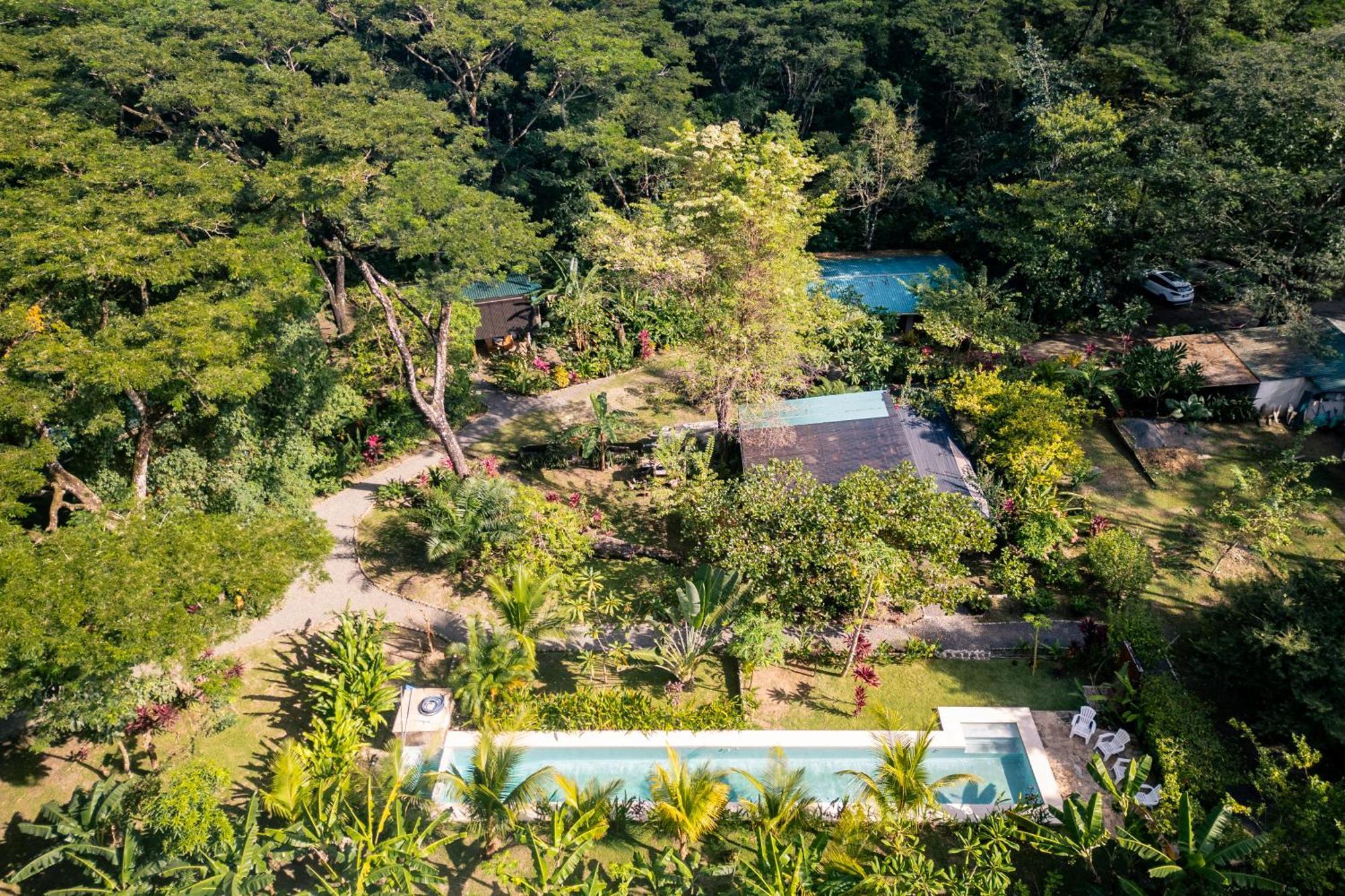 Feeling Trees Jungle Lodge Cabuya  Esterno foto