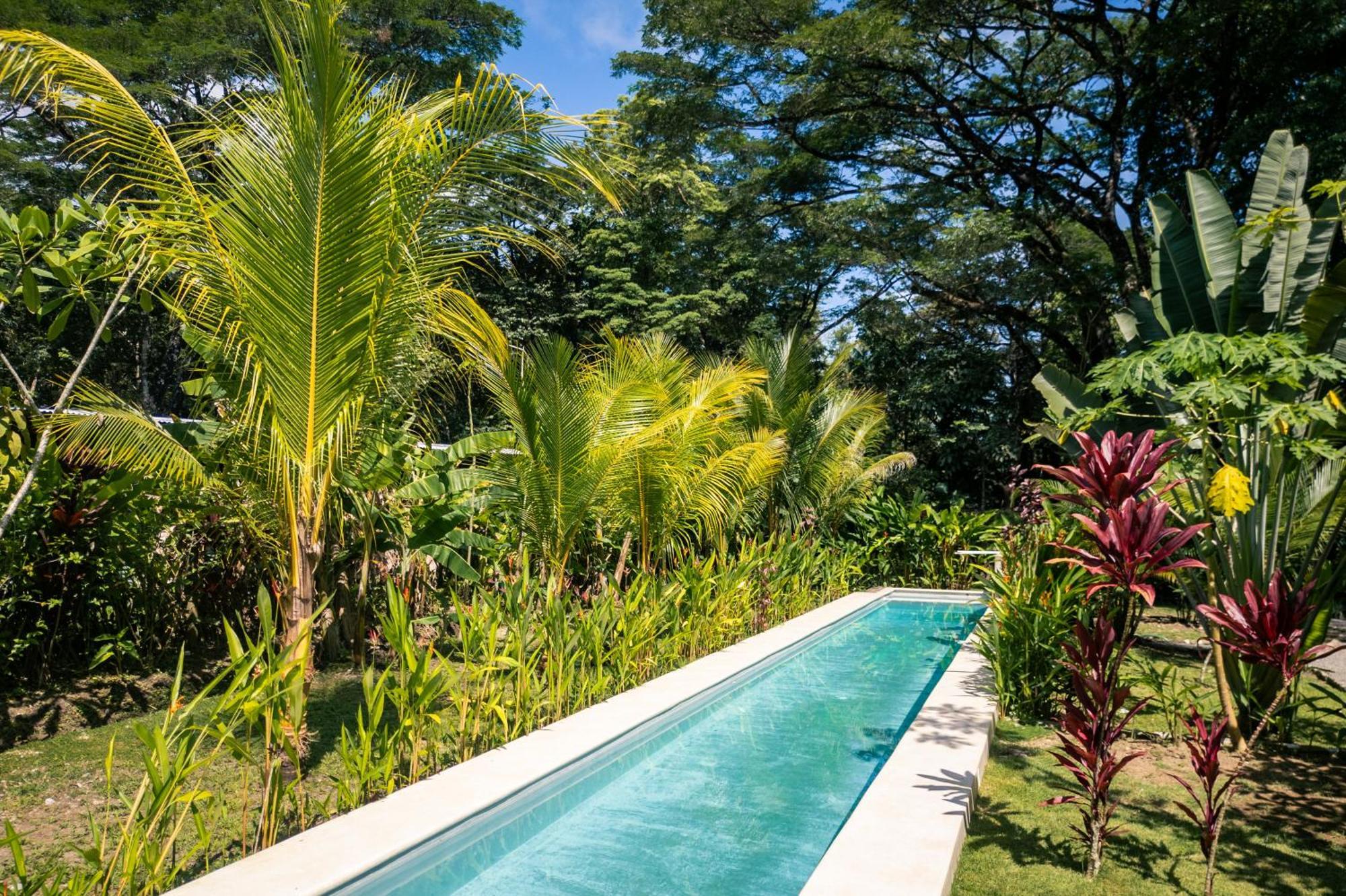 Feeling Trees Jungle Lodge Cabuya  Esterno foto